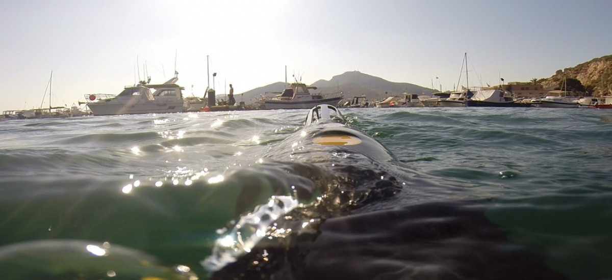 Cartografían el ruido subacuático generado por el tráfico marítimo para reducir su impacto en la fauna marina